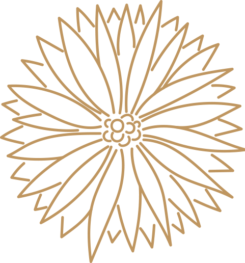 オブジェクト１